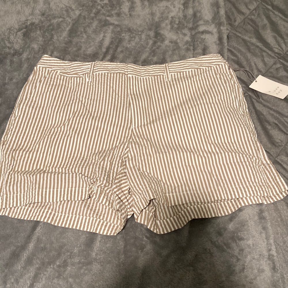 NWT womens shorts